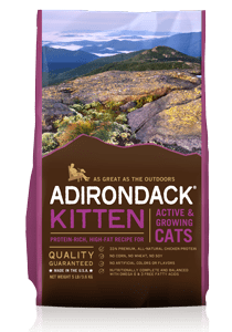 Adirondack Active & Growing Cats